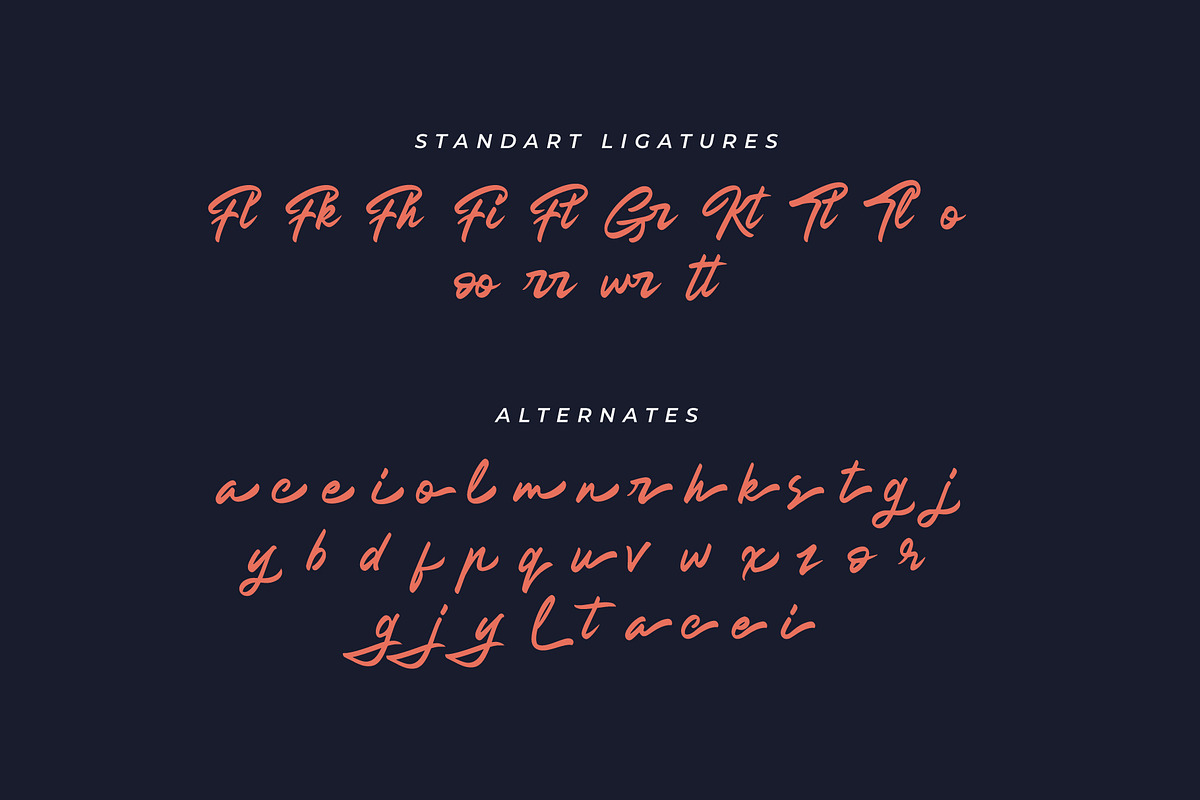 Shining On Brush Font, a Script Font by Rocket Template (Photo 4 of 14)
