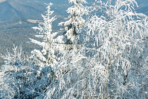 Winter mountain snowy landscape, a Nature Photo by YuriyB