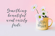 Baelish - Script Font, a Script Font by Maculinc Type (Thumbnail 6 of 12)