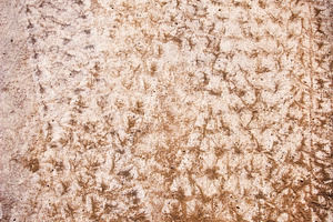 Tire Tracks Texture 2 (Photo)