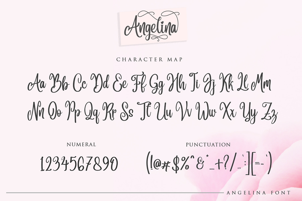 Angelina Script- Beautiful Handwritt, a Script Font by din-studio.com (Photo 8 of 11)
