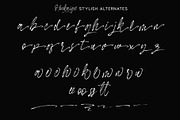 Hockaige - Elegant Handwritten Brush, a Handwritten Font by Sealoung (Thumbnail 11 of 12)