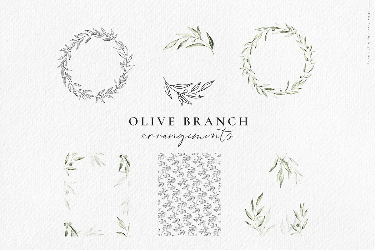Olive branch watercolor illustration, an Illustration by Angele Kamp (Photo 13 of 13)