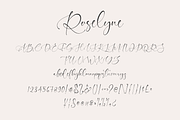 Roselyne Modern Signature Handwrite, a Handwritten Font by CreateBigSupply (Thumbnail 6 of 7)