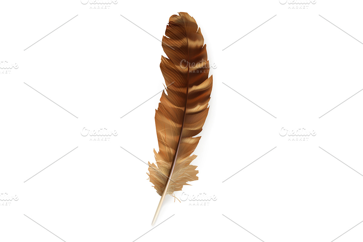 Feathers, vector icon set preview 2