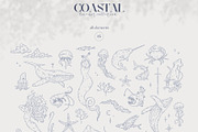 Coastal Line art collection, an Object Graphic by Kreker Kate (Thumbnail 3 of 5)
