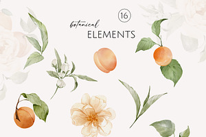 Apricots & Flowers Watercolor Summer