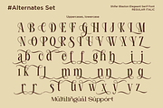 Shifer Blastone - Elegant Serif Font, a Serif Font by Say Studio (Thumbnail 10 of 10)