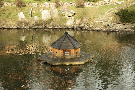 House for ducks in lake in autumn day, a Nature Photo by AtlasStudio PRO