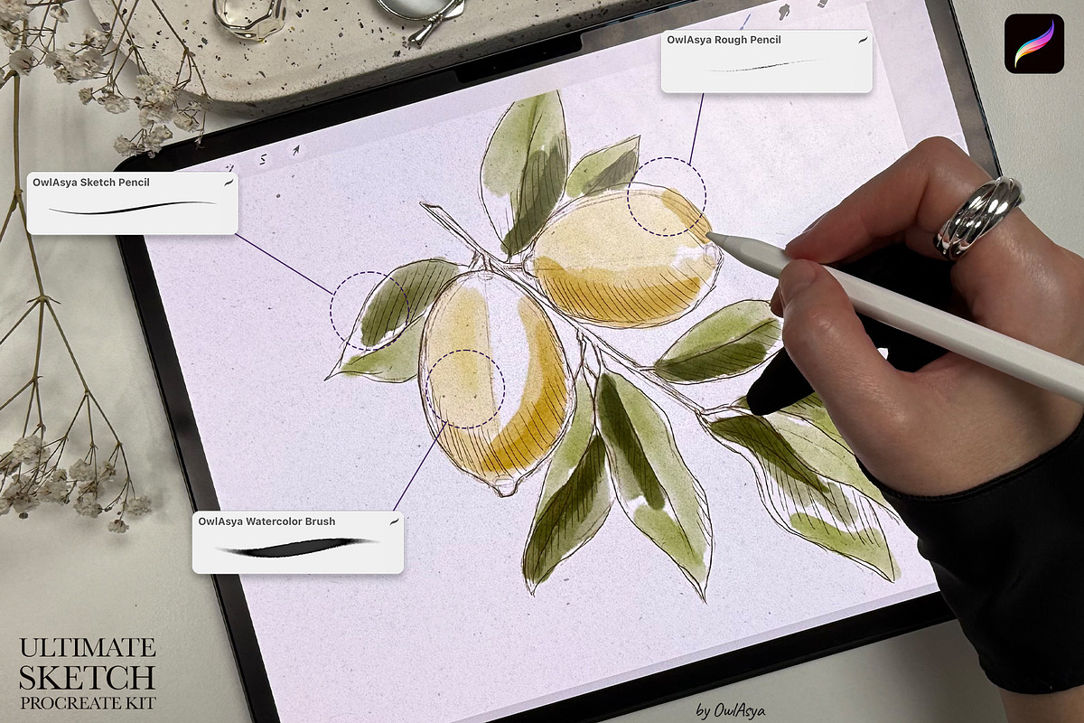 Ultimate Sketch Procreate Brushes, a Brush Add-On by owlasya (Photo 6 of 6)