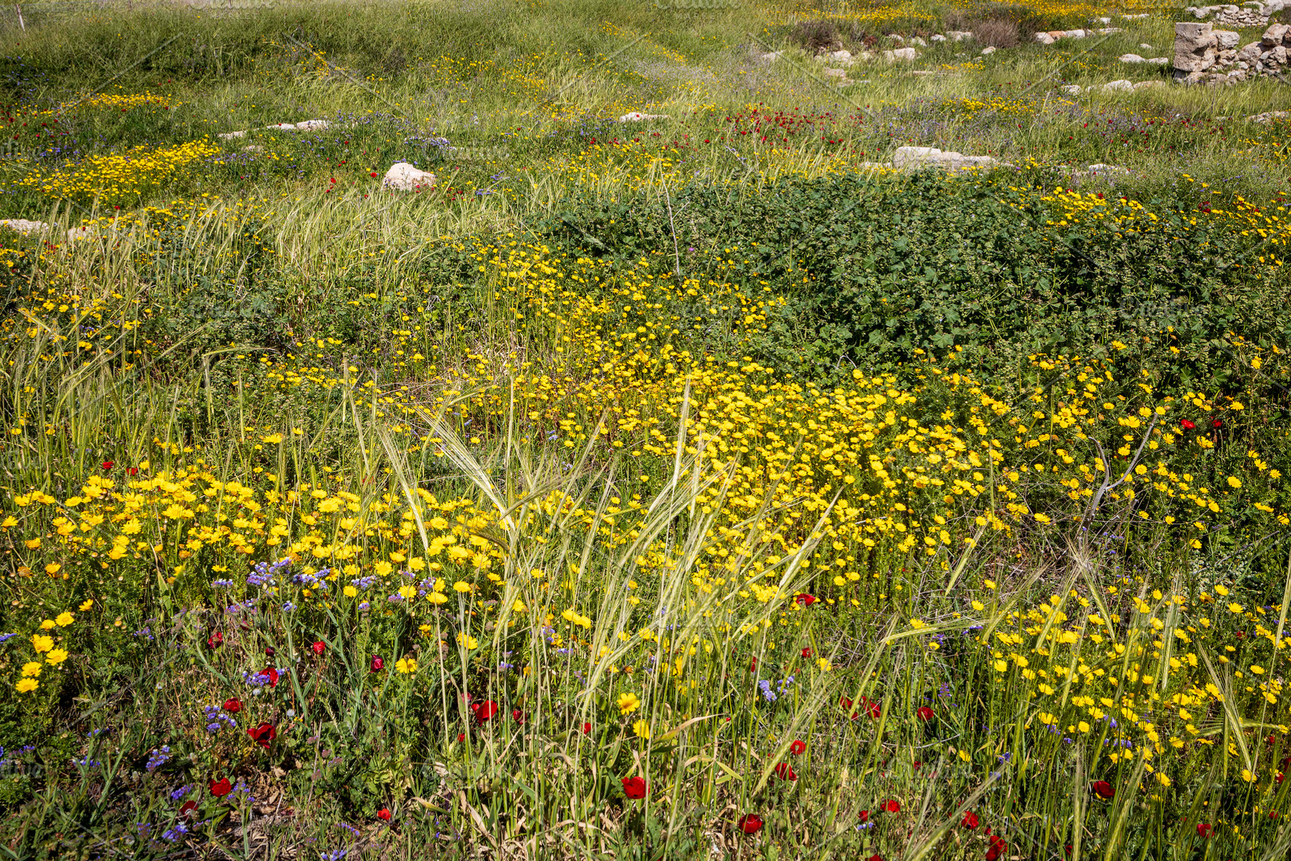 Ruins from the Byzantine period, a Nature Photo by Imaginarium