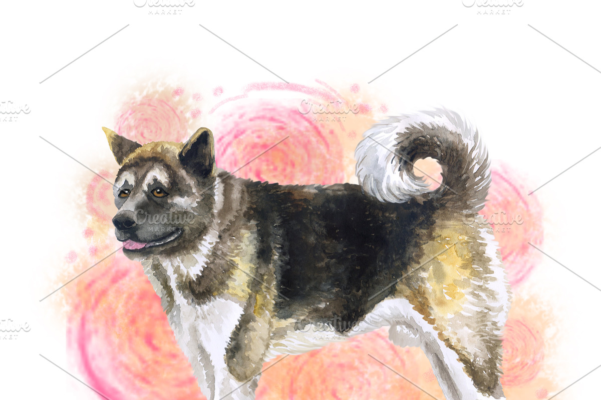 Watercolor Dogs Mega Big Bundle, an Illustration by Dneprstock (Photo 3 of 60)