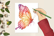 Drawing Butterfly Sublimation, an Illustration by RobertsArt (Thumbnail 2 of 7)