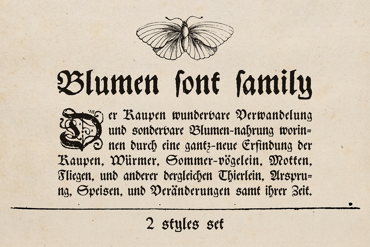 Blumen blackletter font family, a Blackletter Font by kaer_shop (Photo 1 of 8)