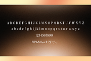 Seravelle Elegant Serif, a Serif Font by RT Studio (Thumbnail 10 of 12)
