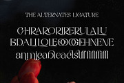 Rigata, a Serif Font by Gatype (Thumbnail 12 of 12)