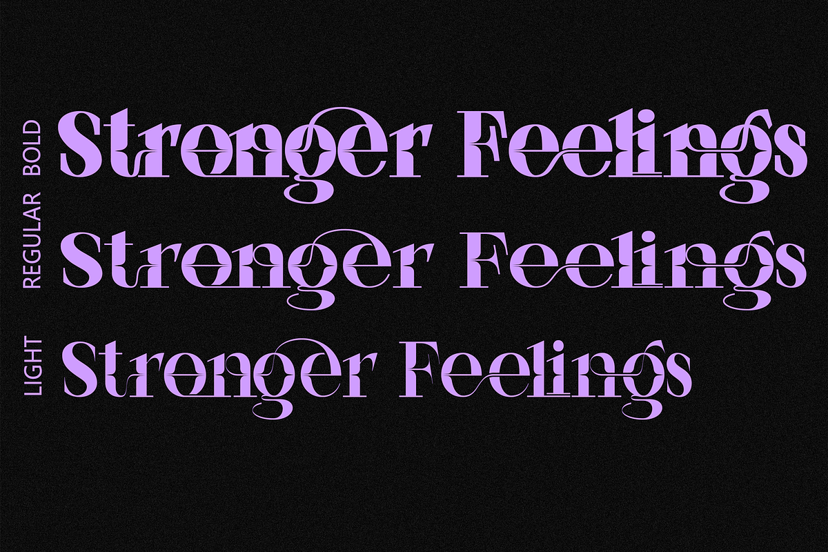 Stronger Feelings Font, a Serif Font by 177Studio (Photo 7 of 9)