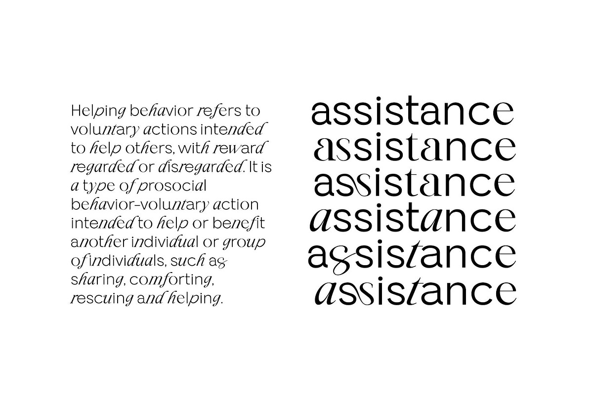 Blendix, a Sans Serif Font by Ryul Davidson (Photo 10 of 16)