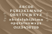 Evereast Serif Rounded, a Serif Font by Nocturnal Workspace (Thumbnail 7 of 9)