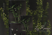 La Rosee Botanical Backgrounds, a Wallpaper Graphic by nadispasibenko (Thumbnail 7 of 9)