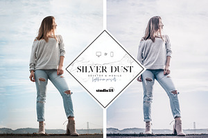 2 Silver Lightroom Presets