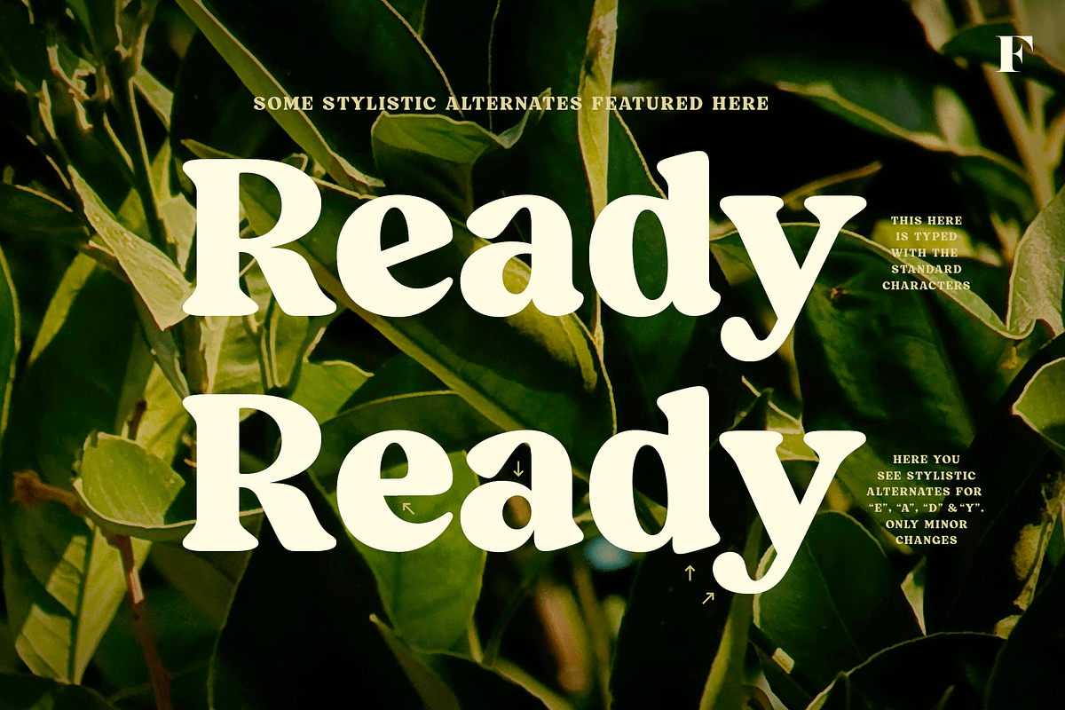 Blood Orange Vintage Serif, a Serif Font by Fenotype (Photo 10 of 16)