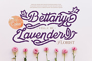 Dianthus Maiden Typeface, a Script Font by alit design (Thumbnail 5 of 17)