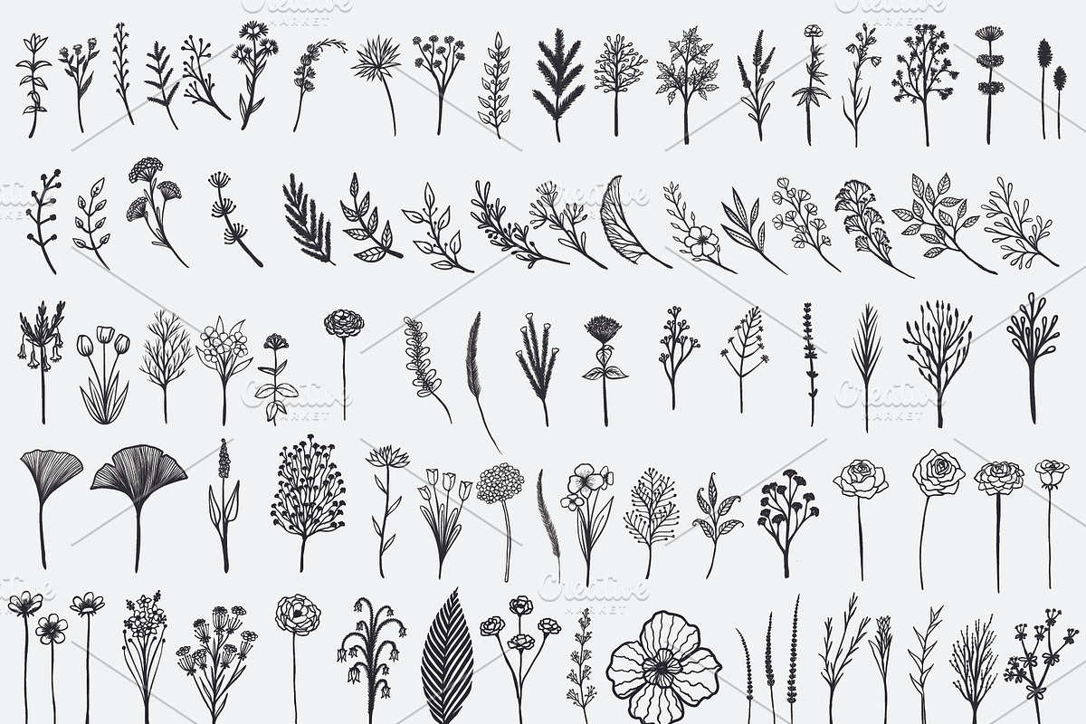 98 % OFF 2200++ Design elements, an Animal Illustration by Somjai King (Photo 22 of 45)