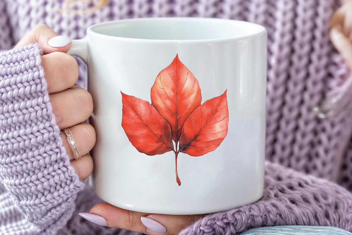 Watercolor Autumn Leaf Clipart, an Illustration by CraftArtStudio (Photo 5 of 6)
