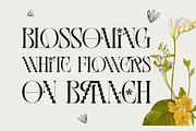 However - Pixel Serif Font, a Serif Font by 177Studio (Thumbnail 4 of 8)