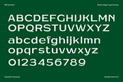 MN Newthon - Versatile Variable Font, a Sans Serif Font by Mantra Naga (Thumbnail 7 of 20)