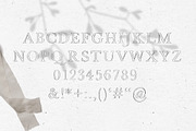 FONT DUO / STRANDLIEBE & kleinigkeit, a Serif Font by KruthDesign (Thumbnail 2 of 13)