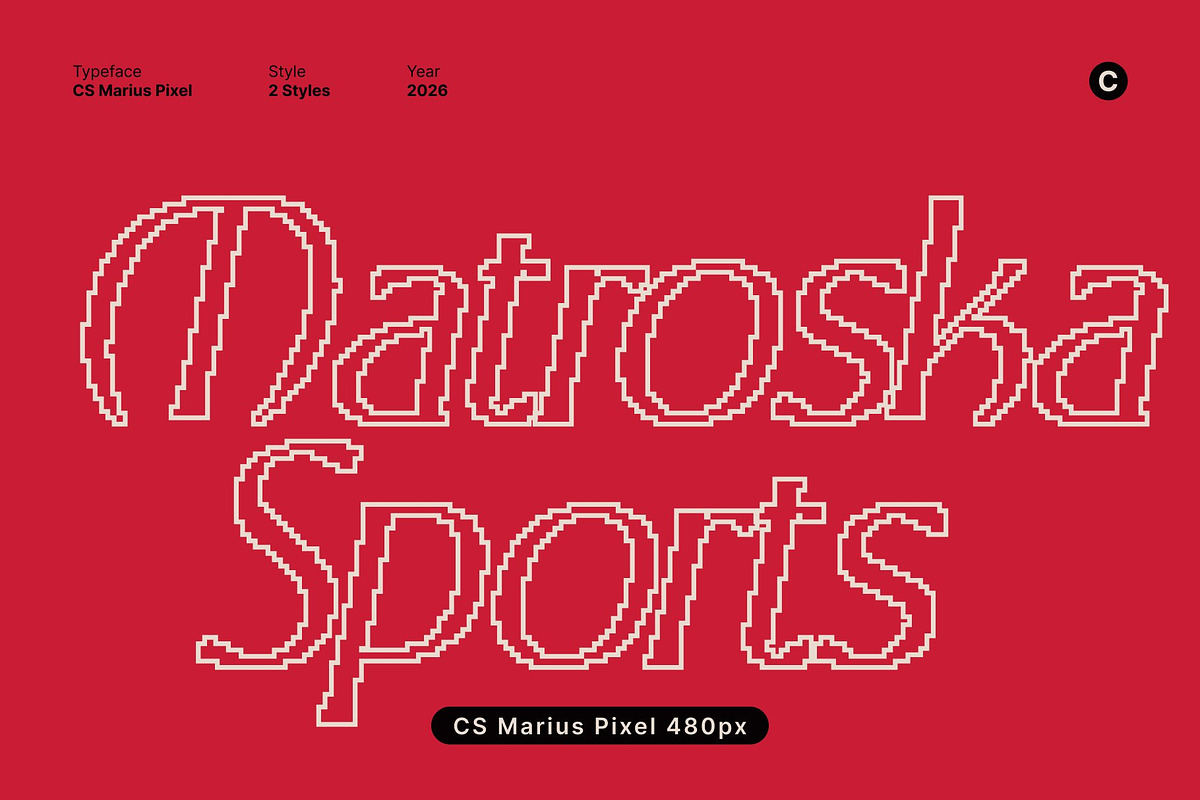 CS Marius Pixel, a Serif Font by Craft Supply Co. (Photo 6 of 8)