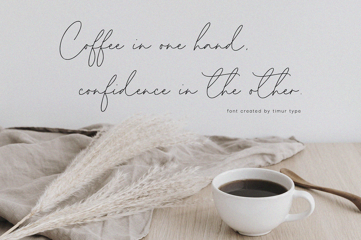 Homeland - Handwritten Script Font, a Handwritten Font by Timurtype (Photo 4 of 7)