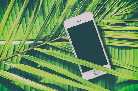 Smartphone on tropical background, a Business Photo by Olezzo