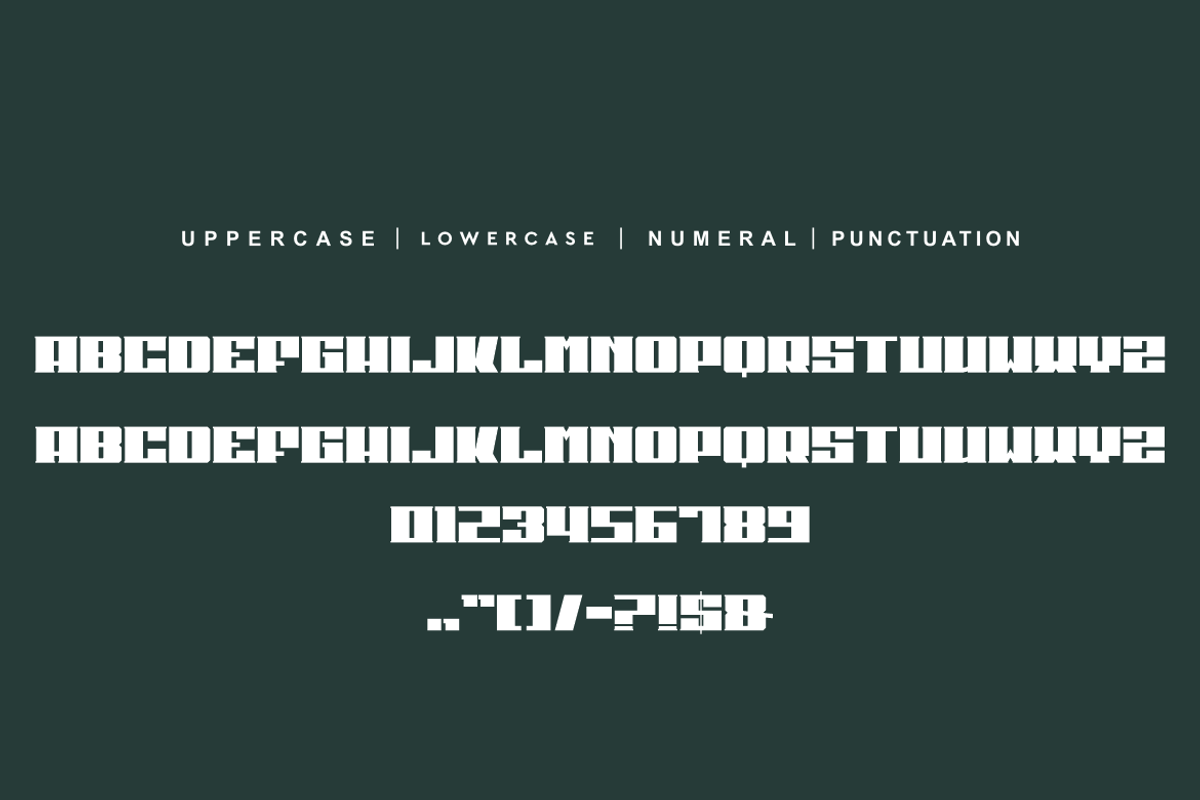 More Garene, a Serif Font by alon kelakon (Photo 2 of 3)