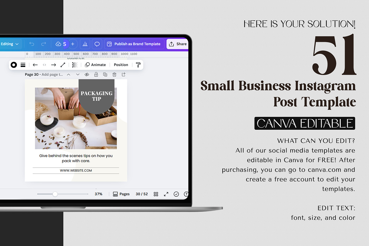 Small Business Canva Instagram Post preview 7
