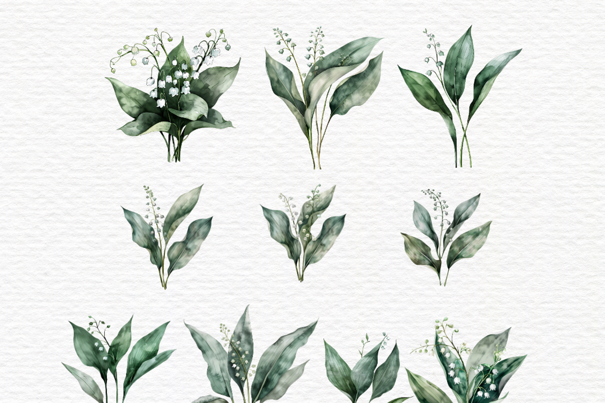 Lily of valley clipart, Flowers, a Decorative Illustration by Invite to Clipart (Photo 2 of 5)