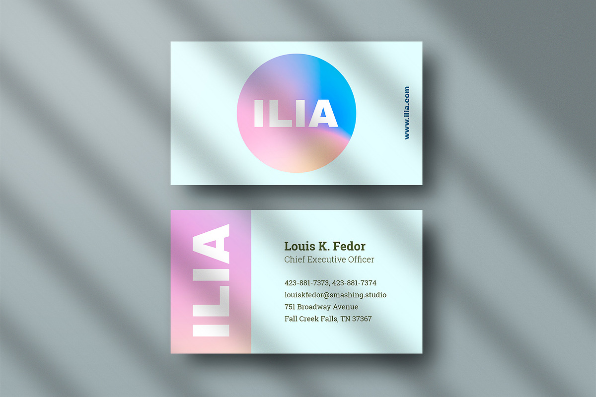 Business card Template & 3 Mock-up, a Business Card Template by Smashing_Studio (Photo 3 of 4)