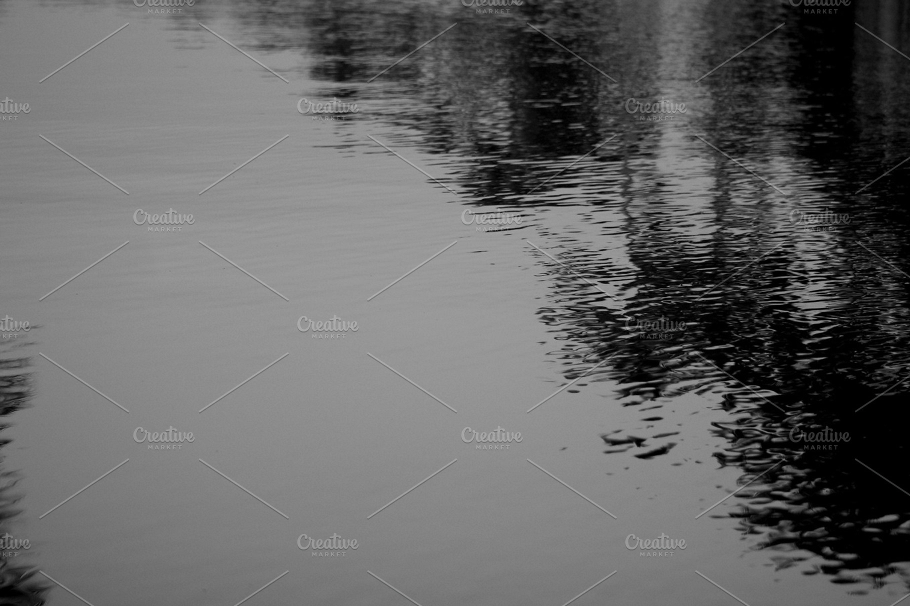 A Reflection In The Water