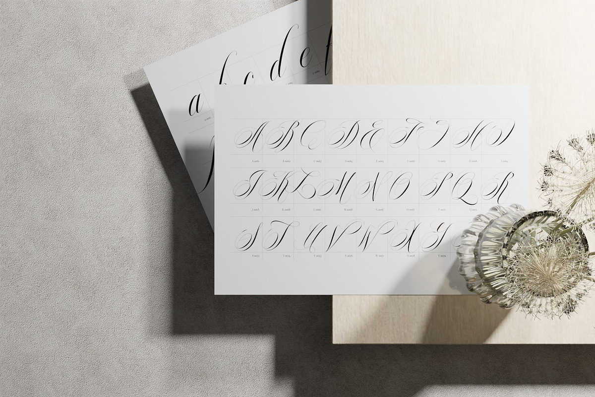 Reichamerina font family, a Serif Font by Ryul Davidson (Photo 10 of 27)