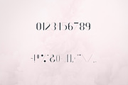 RoseGold Serif font + 10 Logos, a Serif Font by VP Fonts (Thumbnail 7 of 20)
