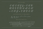 Melistany Handwritten Script, a Script Font by Typebae (Thumbnail 8 of 8)