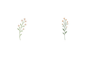 Delicate floral illustrations on a, a Nature Photo by ZinetroN