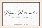 Parisian Vintage Calligraphy Script, a Script Font by Mila Garret (Thumbnail 8 of 13)