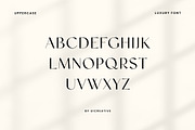 Facelio Modern Stylish Sans Serif, a Sans Serif Font by UICreative (Thumbnail 6 of 13)