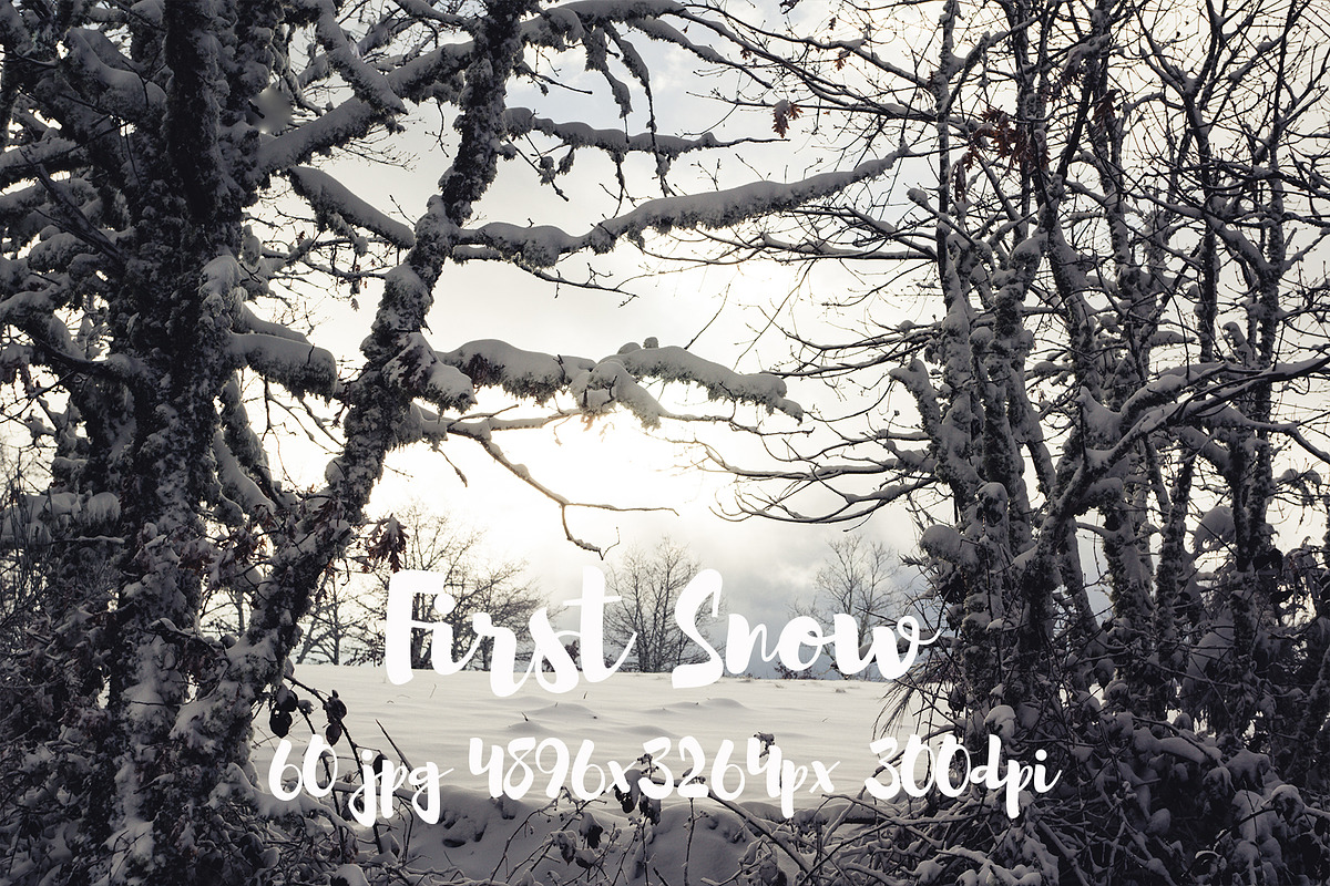 First Snow, a Templates & Theme by ApertureVintage (Photo 18 of 26)