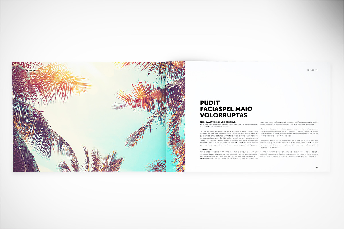 Annual Report in Landscape Format, a Brochure Template by McLittle Stock (Photo 6 of 6)