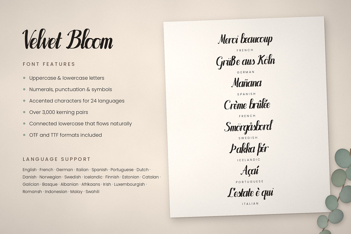 Velvet Bloom – Brush Script Font, a Script Font by vladocar (Photo 3 of 10)