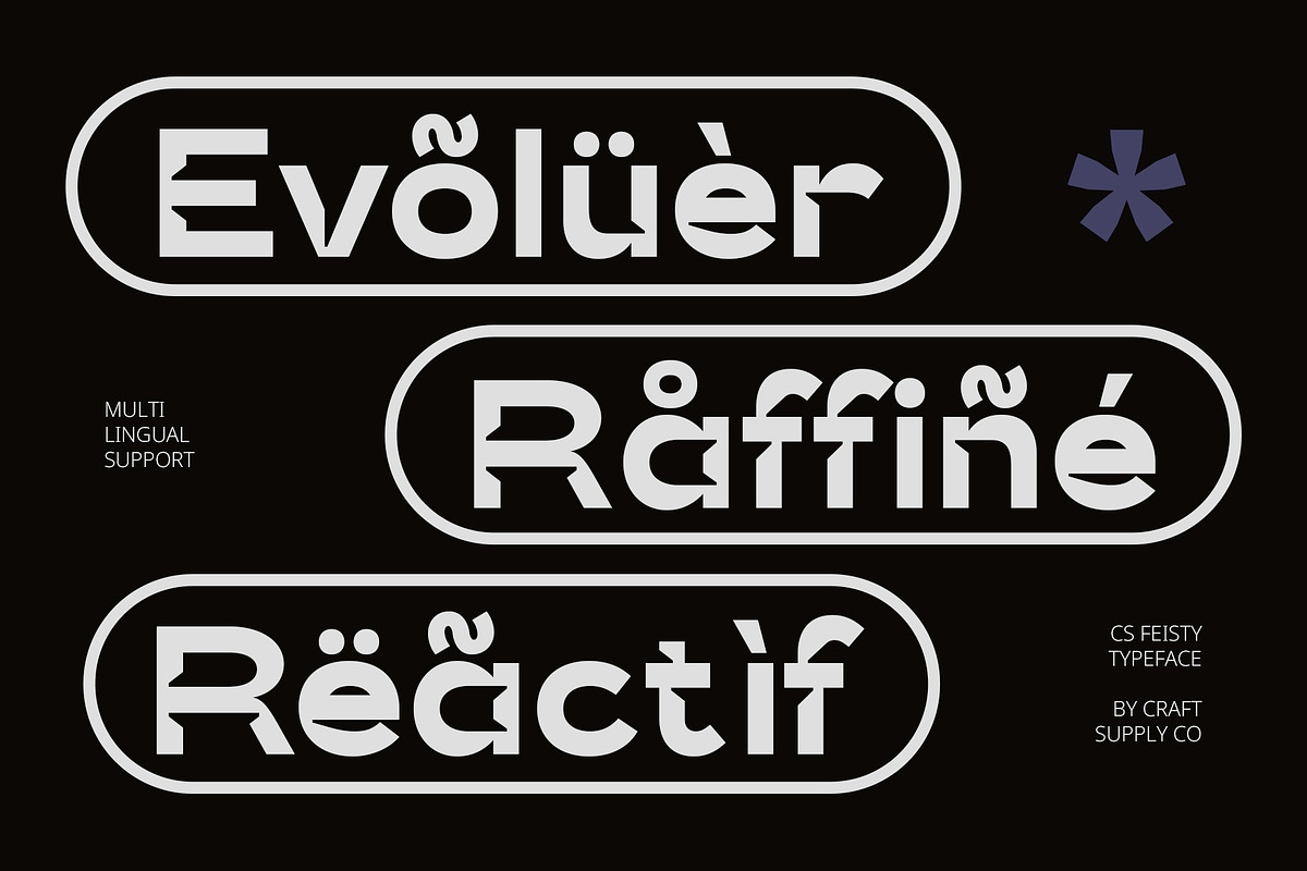 CS Feisty – Inktrap Font, a Sans Serif Font by Craft Supply Co. (Photo 5 of 8)